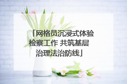 网格员沉浸式体验检察工作 共筑基层治理法治防线