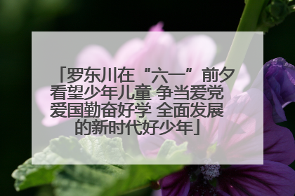 罗东川在“六一”前夕看望少年儿童 争当爱党爱国勤奋好学 全面发展的新时代好少年