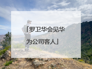 罗卫华会见华为公司客人