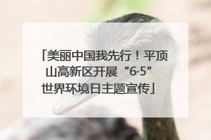 美丽中国我先行！平顶山高新区开展“6·5”世界环境日主题宣传