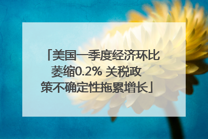 美国一季度经济环比萎缩0.2% 关税政策不确定性拖累增长