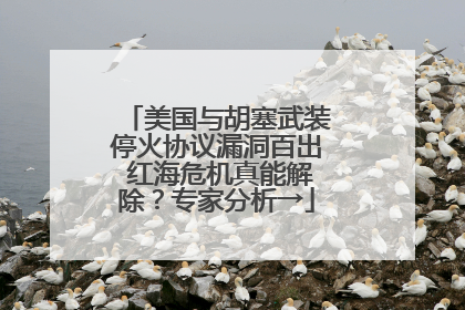 美国与胡塞武装停火协议漏洞百出 红海危机真能解除？专家分析→