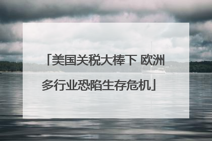 美国关税大棒下 欧洲多行业恐陷生存危机