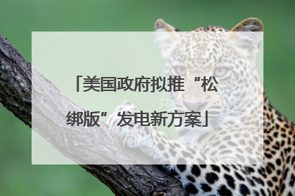 美国政府拟推“松绑版”发电新方案