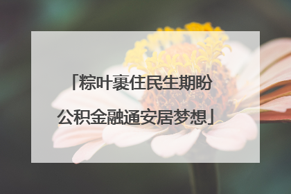 粽叶裹住民生期盼 公积金融通安居梦想