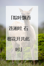 粽叶飘香连湘吐 石榴花开共此时