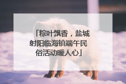 粽叶飘香，盐城射阳临海镇端午民俗活动暖人心