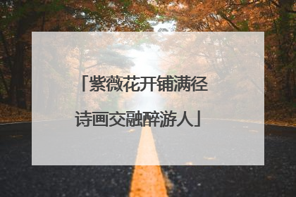 紫薇花开铺满径 诗画交融醉游人
