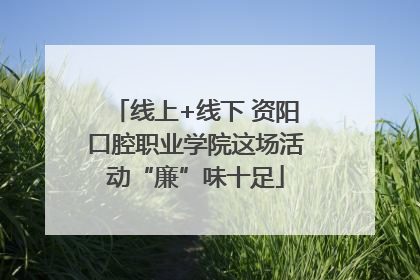 线上+线下 资阳口腔职业学院这场活动“廉”味十足