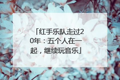 红手乐队走过20年:五个人在一起,继续玩音乐
