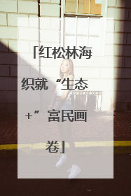 红松林海织就“生态+”富民画卷