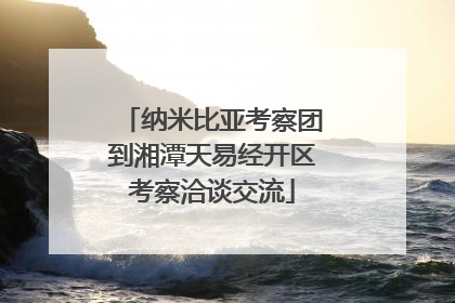 纳米比亚考察团到湘潭天易经开区考察洽谈交流