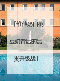 维他奶白桃豆奶背后的品类升级战