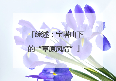 综述：宝塔山下的“草原风情”