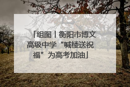 组图丨衡阳市博文高级中学“喊楼送祝福”为高考加油