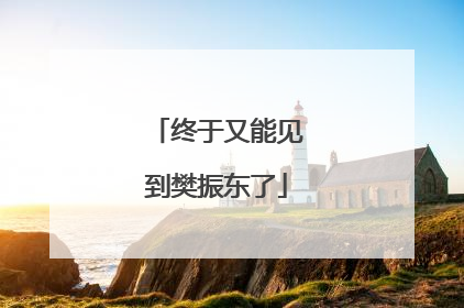 终于又能见到樊振东了