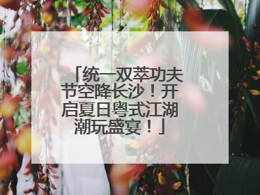 统一双萃功夫节空降长沙！开启夏日粤式江湖潮玩盛宴！