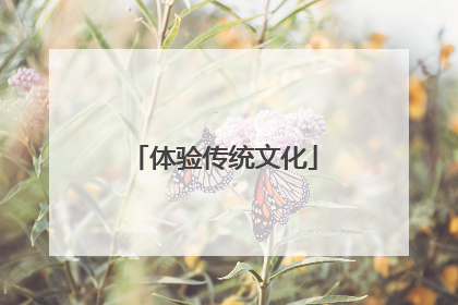 体验传统文化