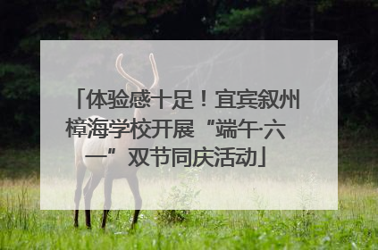体验感十足！宜宾叙州樟海学校开展“端午·六一”双节同庆活动