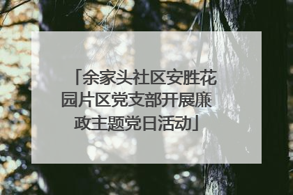 余家头社区安胜花园片区党支部开展廉政主题党日活动