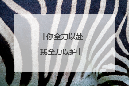 你全力以赴 我全力以护