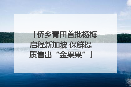 侨乡青田首批杨梅启程新加坡 保鲜提质售出“金果果”