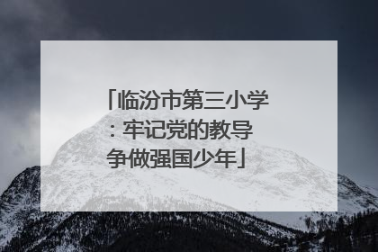临汾市第三小学：牢记党的教导 争做强国少年