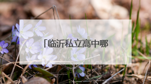 临沂私立高中哪家好？临沂明谷高中给你答案！