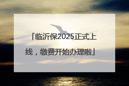 临沂保2025正式上线，缴费开始办理啦