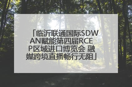 临沂联通国际SDWAN赋能第四届RCEP区域进口博览会 融媒跨境直播畅行无阻