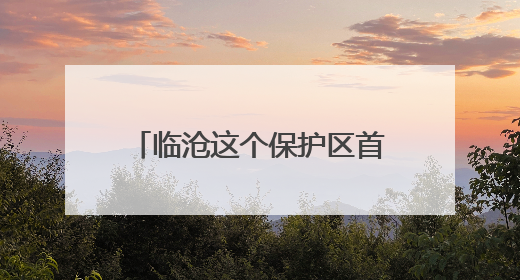 临沧这个保护区首次记录中国独有物种——黑顶蛙口夜鹰