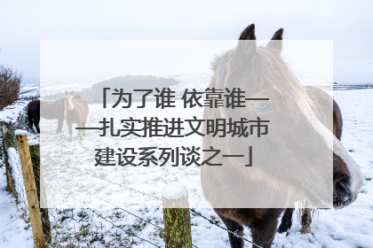 为了谁 依靠谁——扎实推进文明城市建设系列谈之一