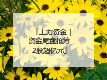 主力资金｜资金尾盘抢筹2股超亿元