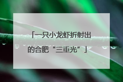 一只小龙虾折射出的合肥“三重光”