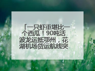 一只虾重堪比一个西瓜！90吨活波龙运抵鄂州，花湖机场货运航线突破100条