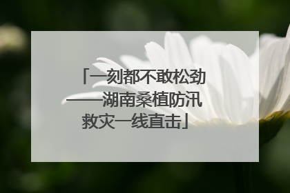 一刻都不敢松劲——湖南桑植防汛救灾一线直击