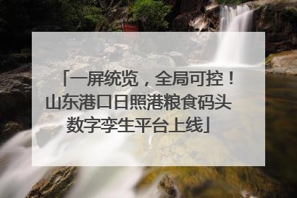 一屏统览，全局可控！山东港口日照港粮食码头数字孪生平台上线