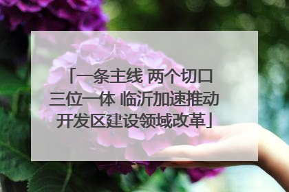 一条主线 两个切口 三位一体 临沂加速推动开发区建设领域改革
