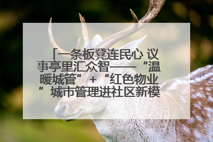 一条板凳连民心 议事亭里汇众智——“温暖城管”+“红色物业”城市管理进社区新模式绘就城市管理社区治理新画卷