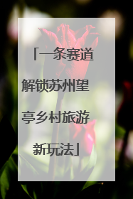 一条赛道解锁苏州望亭乡村旅游新玩法