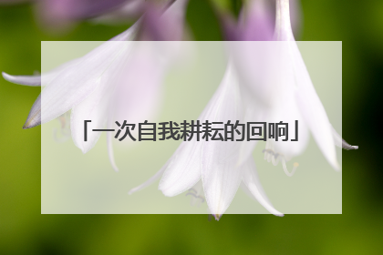一次自我耕耘的回响