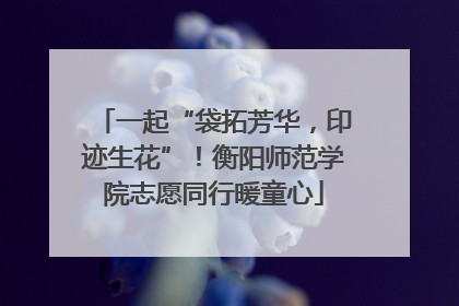 一起“袋拓芳华，印迹生花”！衡阳师范学院志愿同行暖童心