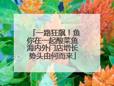 一路狂飙！鱼你在一起酸菜鱼海内外门店增长势头由何而来
