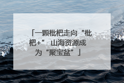 一颗枇杷走向“枇杷+” 山海资源成为“聚宝盆”