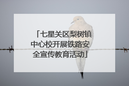 七星关区梨树镇中心校开展铁路安全宣传教育活动