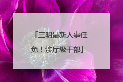 三明最新人事任免！涉厅级干部