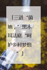 三进“菌地，”黑木耳法庭“呵护乡村梦想”