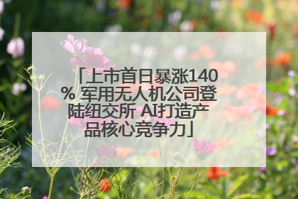 上市首日暴涨140% 军用无人机公司登陆纽交所 AI打造产品核心竞争力