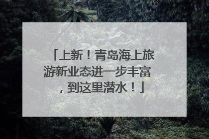 上新！青岛海上旅游新业态进一步丰富，到这里潜水！
