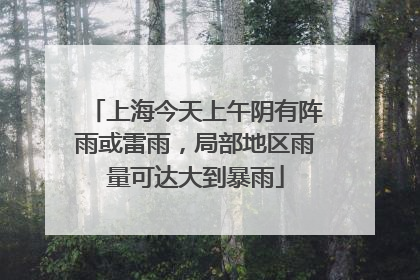 上海今天上午阴有阵雨或雷雨，局部地区雨量可达大到暴雨